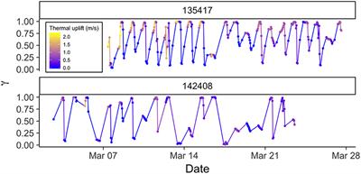 Dynamic-Parameter Movement Models Reveal Drivers of Migratory Pace in a Soaring Bird